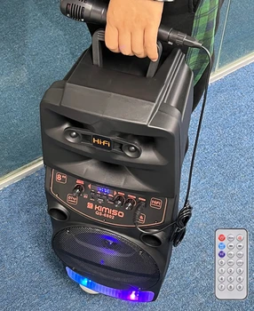 2000 Вт Пиковая Мощность Портативная Колонка LED Тележка Коробка Вечерние Динамик Открытый FM-Радио 8 Дюймов Bluetooth Колонки Проводной Микрофон Caixa De Som
